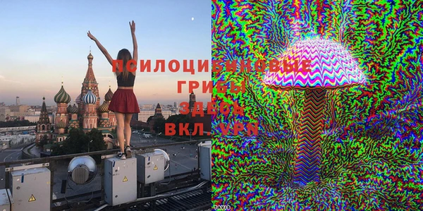 соль курить ск Каменногорск